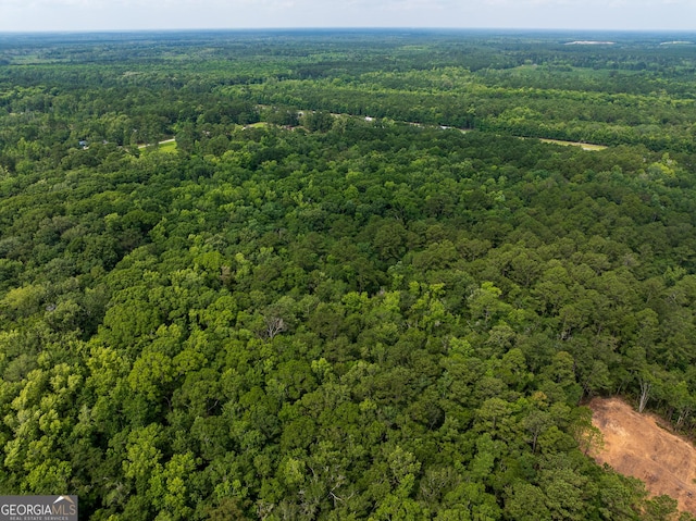 27ACRES W S Highway 17, Townsend, GA 31331