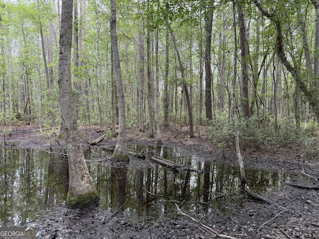 27ACRES W S Highway 17, Townsend, GA 31331