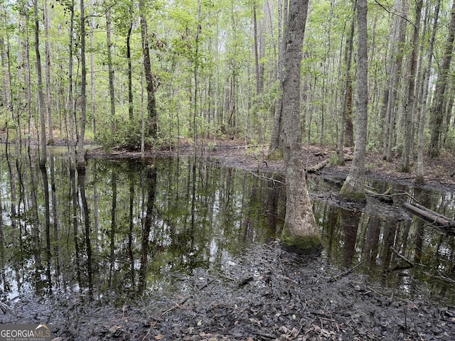 27ACRES W S Highway 17, Townsend, GA 31331