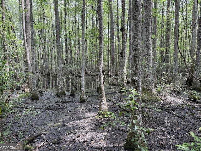 27ACRES W S Highway 17, Townsend, GA 31331