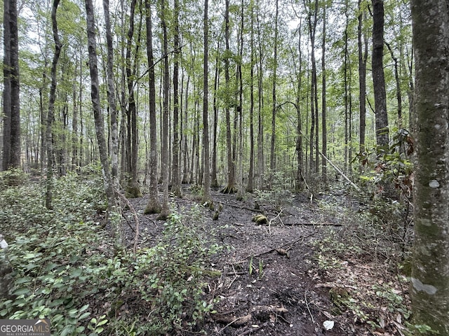 27ACRES W S Highway 17, Townsend, GA 31331