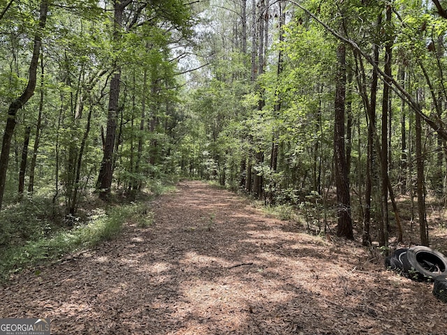 27ACRES W S Highway 17, Townsend, GA 31331