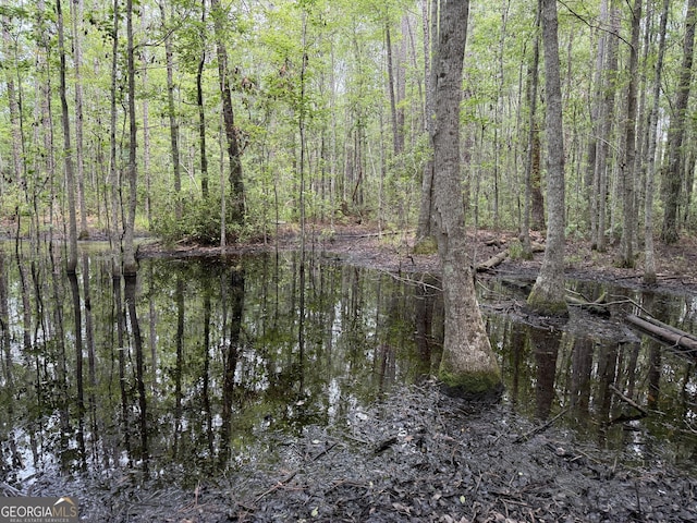 27ACRES W S Highway 17, Townsend, GA 31331