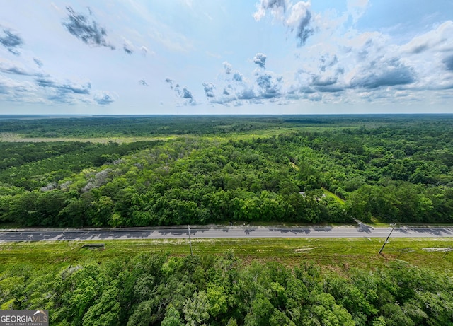 27ACRES W S Highway 17, Townsend, GA 31331