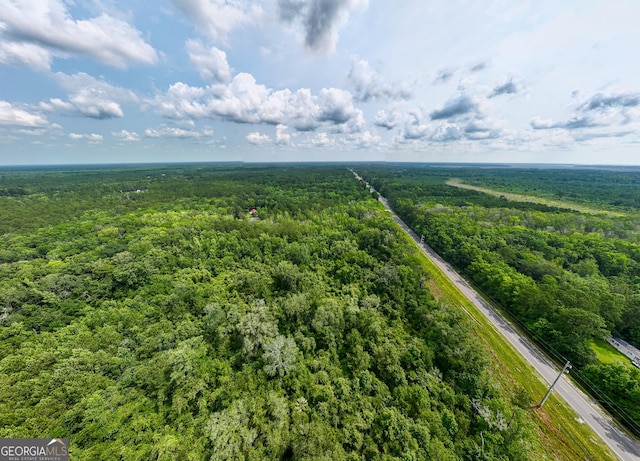 27ACRES W S Highway 17, Townsend, GA 31331