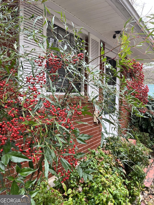 256 Black Rock Mountain Pkwy, Clayton, GA 30525 - view of exterior details