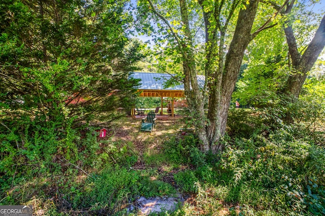 256 Black Rock Mountain Pkwy, Clayton, GA 30525 - view of yard