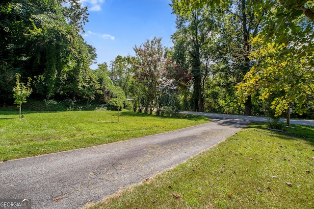 256 Black Rock Mountain Pkwy, Clayton, GA 30525 - view of street
