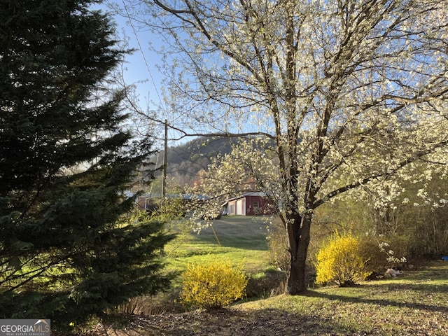 256 Black Rock Mountain Pkwy, Clayton, GA 30525 - view of yard featuring an outdoor structure and a barn