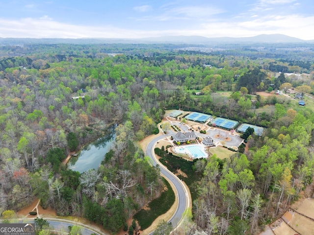6635 Canyon Cv, Cumming, GA 30028 - birds eye view of property with a wooded view and a water view