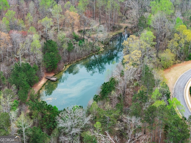 6635 Canyon Cv, Cumming, GA 30028 - bird's eye view featuring a forest view and a water view