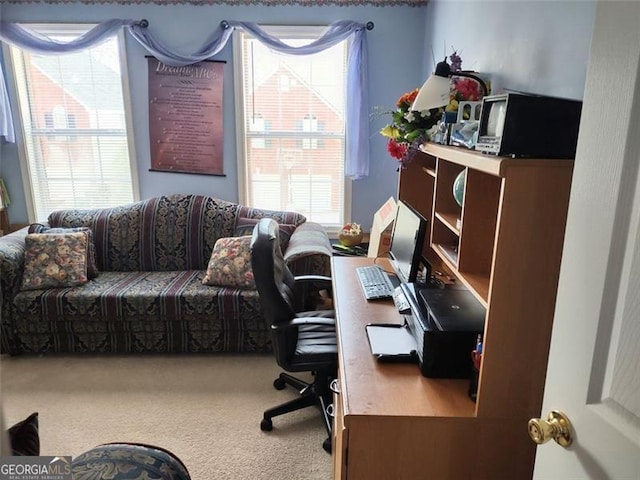 view of carpeted home office