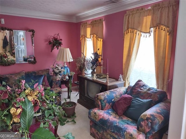 living area featuring crown molding, a textured ceiling, and carpet floors