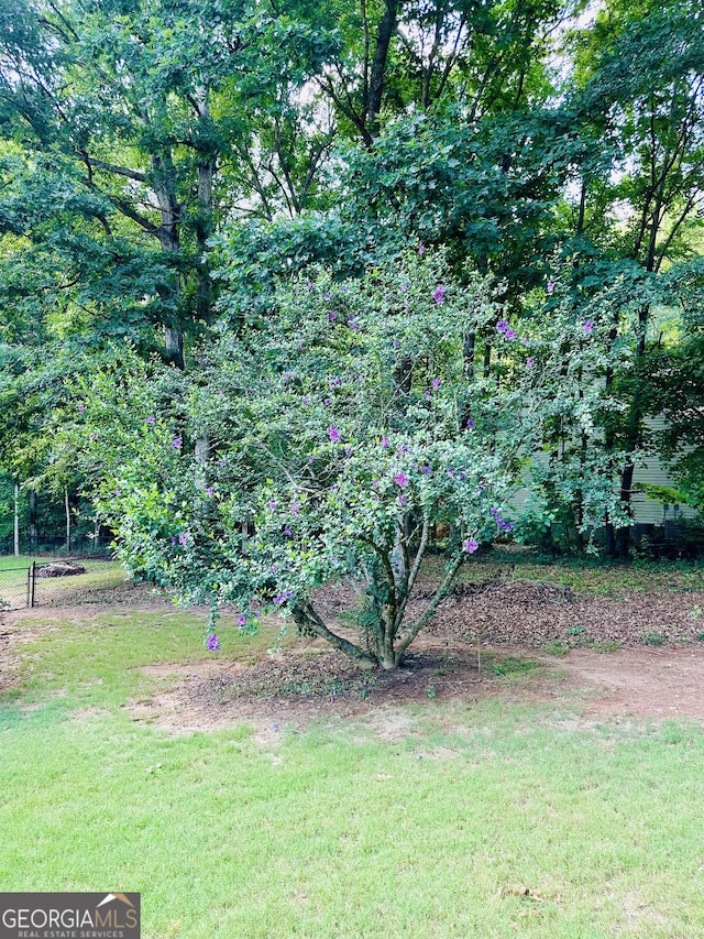 4100 Jewel Rdg, Monroe, GA 30655 - view of grassy yard