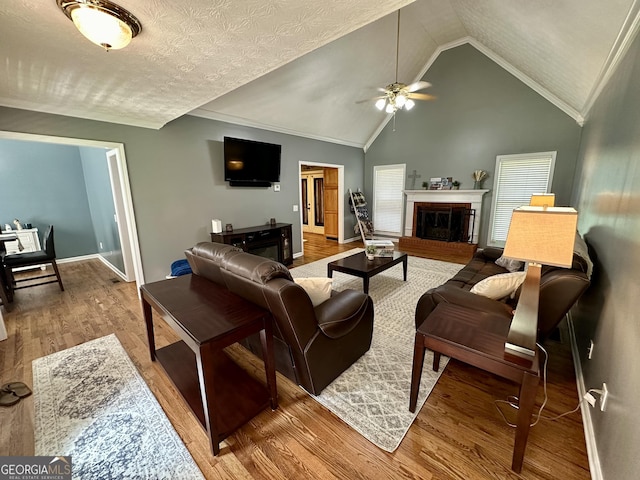 4100 Jewel Rdg, Monroe, GA 30655 - living room featuring ceiling fan, wood finished floors, vaulted ceiling, baseboards, and a fireplace