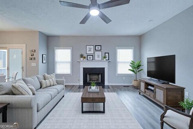 830 Buffington Way, Canton, GA 30115 - living area with baseboards, wood finished floors, and a wealth of natural light