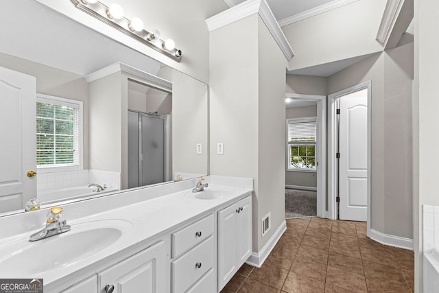 bathroom with a sink, a healthy amount of sunlight, and a stall shower