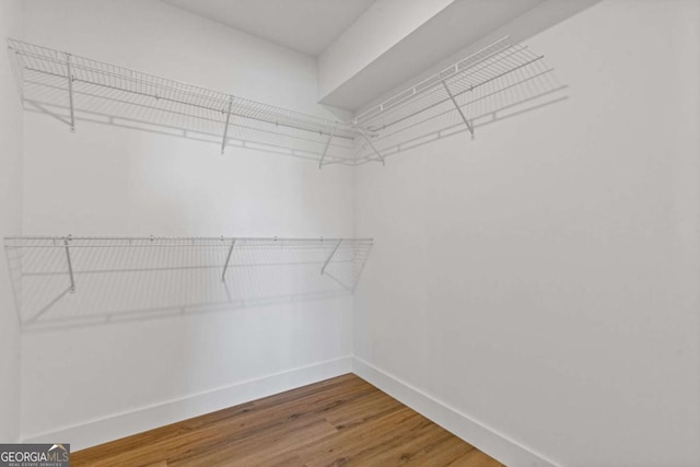 spacious closet featuring wood finished floors