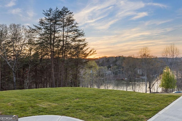 yard at dusk featuring a forest view