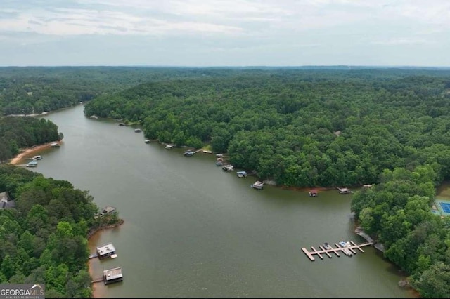 bird's eye view featuring a water view and a forest view