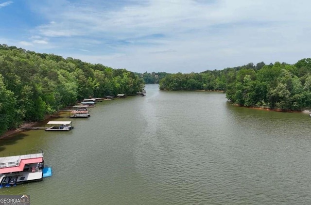 water view featuring a wooded view and a boat dock