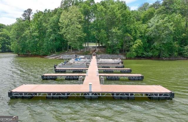 dock area with a lawn and a water view