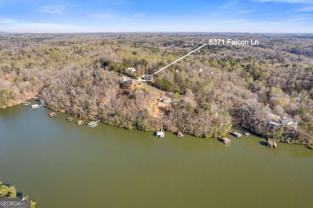 drone / aerial view featuring a water view and a forest view