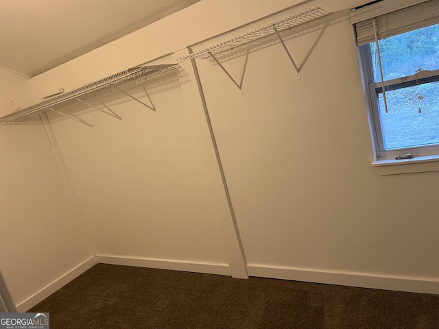 spacious closet with dark carpet