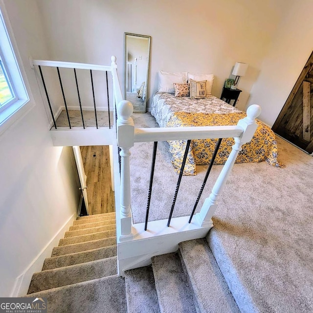 staircase with carpet floors