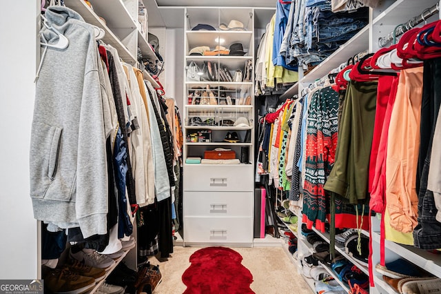 spacious closet with carpet floors
