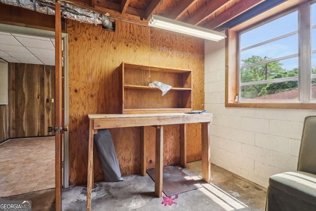 basement featuring wood walls