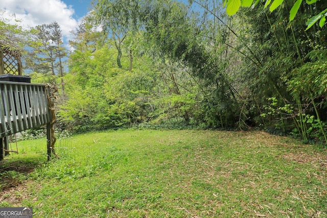 view of yard