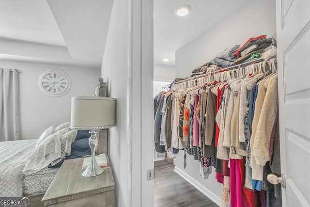 walk in closet with wood finished floors