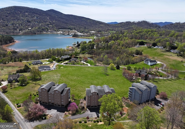 3112 Allison Ct, Young Harris, GA 30582 - bird's eye view featuring a water and mountain view