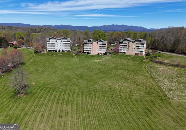 3112 Allison Ct, Young Harris, GA 30582 - aerial view with a wooded view and a mountain view