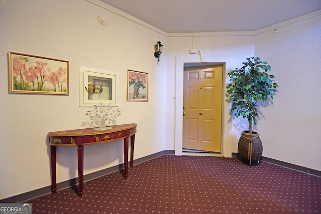 3112 Allison Ct, Young Harris, GA 30582 - entryway with baseboards and carpet flooring