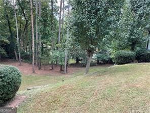 370 Rainey Dr, Dawsonville, GA 30534 - view of yard