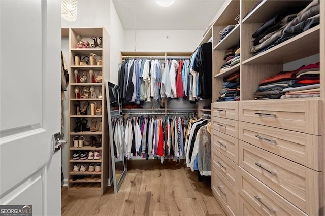 walk in closet featuring light wood-style flooring