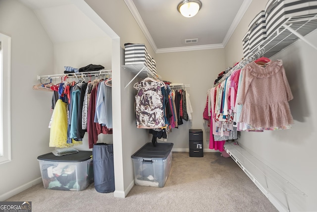 11395 Crestview Ter, Johns Creek, GA 30024 - walk in closet featuring carpet floors