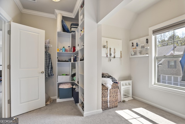 11395 Crestview Ter, Johns Creek, GA 30024 - walk in closet with carpet floors