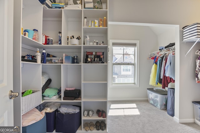 11395 Crestview Ter, Johns Creek, GA 30024 - walk in closet featuring carpet
