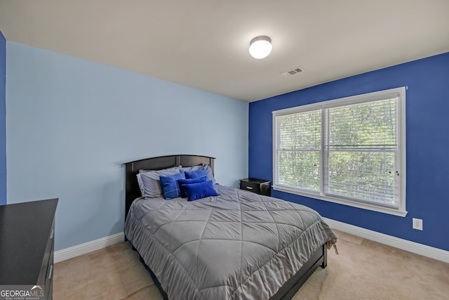 1210 Spring Branch Ct, Lawrenceville, GA 30045 - bedroom with carpet flooring and baseboards