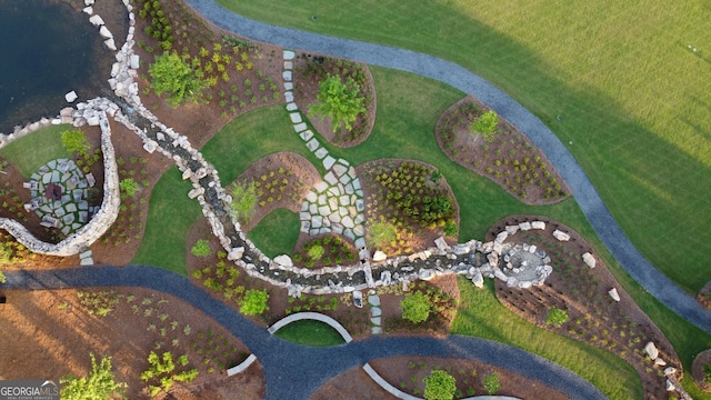 bird's eye view