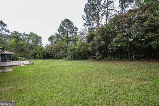 1100 Atlantic Ave, Waycross, GA 31501 - view of grassy yard