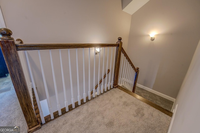 stairs featuring carpet floors