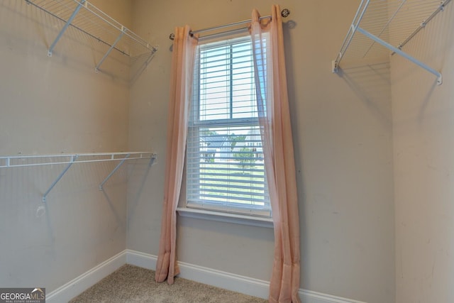 walk in closet featuring carpet