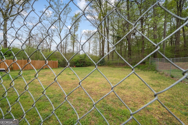 4329 Cedar Valley Ln, Conley, GA 30288 - view of yard