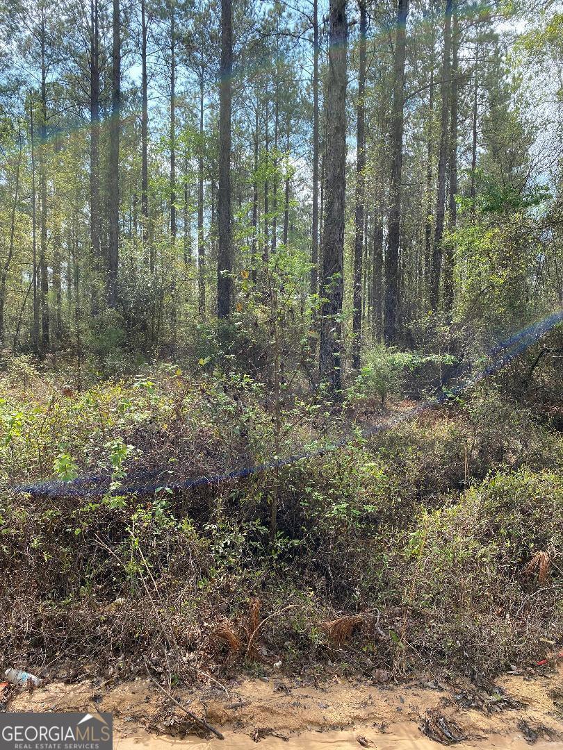 LOT4 Coleman Chapel Rd, Swainsboro, GA 30401