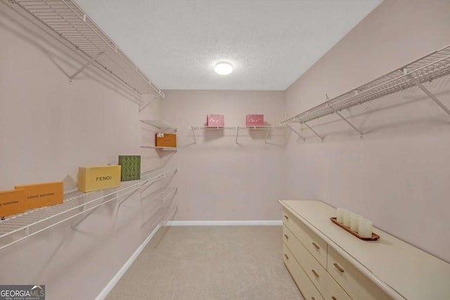 2983 Bancroft Gln NW, Kennesaw, GA 30144 - walk in closet with light carpet