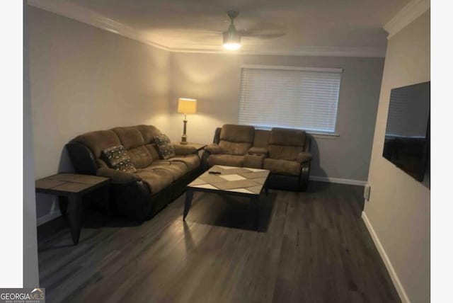 3834 Kensingwood Trce, Decatur, GA 30032 - living room featuring ornamental molding, baseboards, and wood finished floors